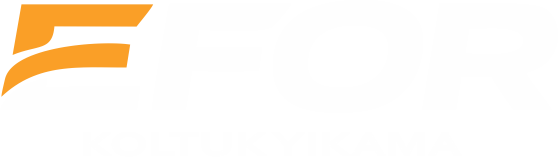 Efor Koltuk Yıkama Logo